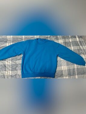 Aritzia Woman’s Crewneck Sweater in Bright Blue
